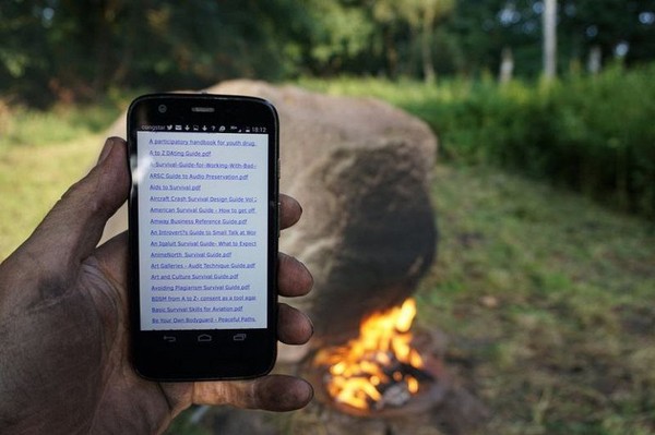 Wi-Fi камінь в глухому лісі (фото)