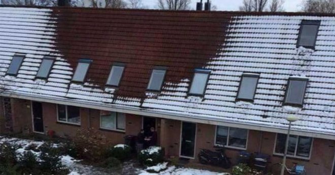 Поліція виявила велику кількість вирощуваної марихуани через відсутність снігу на даху