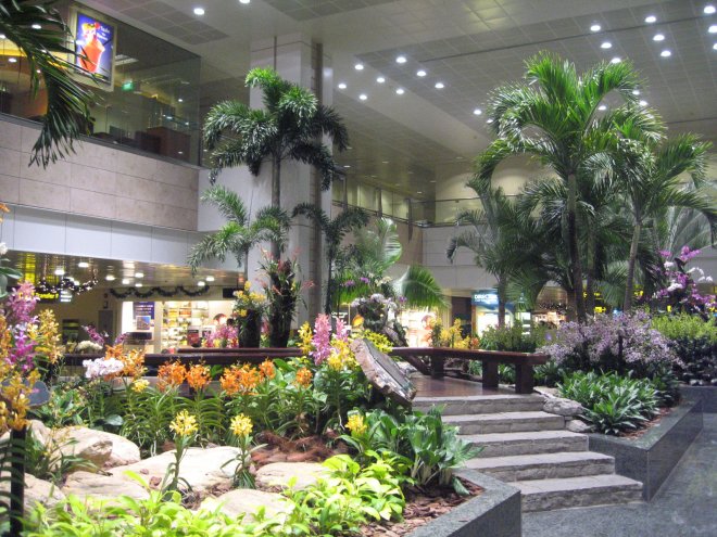 Міжнародний аеропорт Чангі (Сінгапур) визнано найкращим у світі