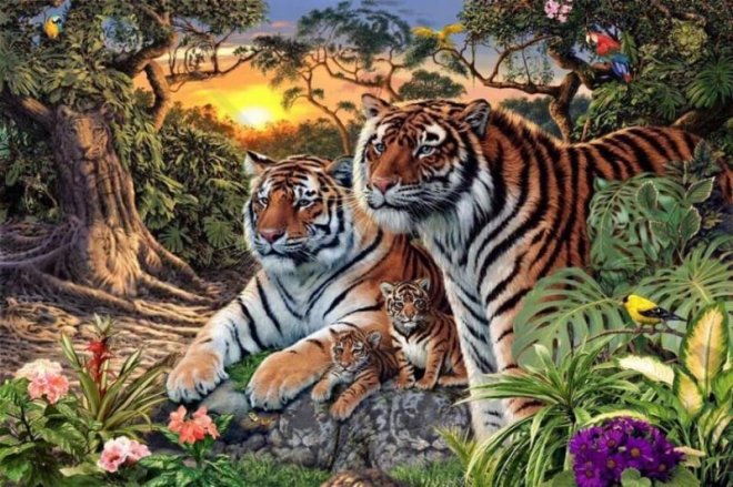 Скільки тигрів на малюнку?