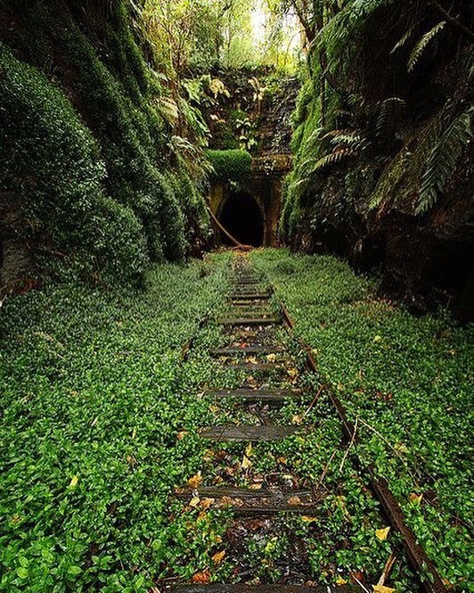 [Фото дня] Закинутий тунель в Хеленсбурзі, Австралія