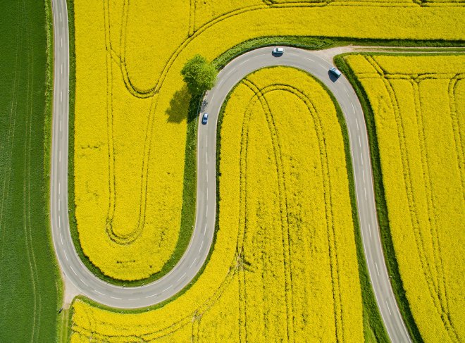 [Фото дня] Дорога через ріпакові поля в Німеччині