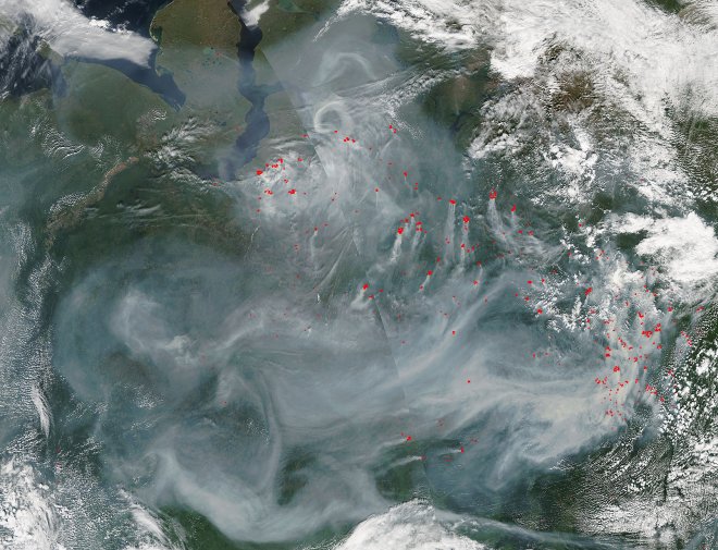 Лісові пожежі в Росії: дим дійшов до Москви