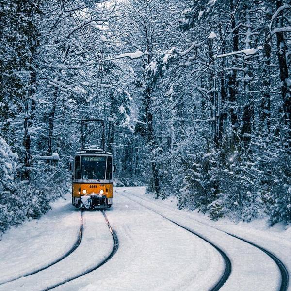 [Фото дня] Зимовий трамвай. Софія, Болгарія