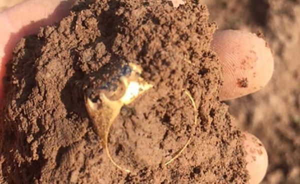 Британський шукач скарбів-аматор знайшов «перстень Робіна Гуда» в Шервудському лісі