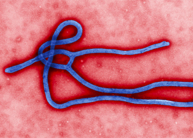 Вакцина від лихоманки Ебола показала стовідсоткову ефективність