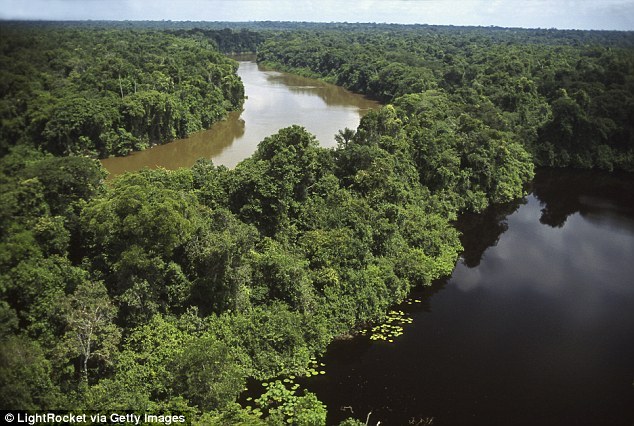 В джунглях Амазонки знайшли канадця, який зник у 2012-му