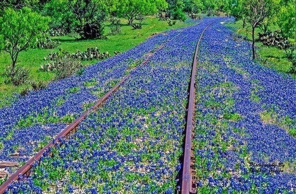 [Фото дня] Стара залізниця,Техас