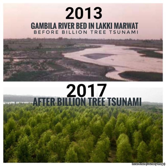 В Пакистані посаджено мільярд дерев