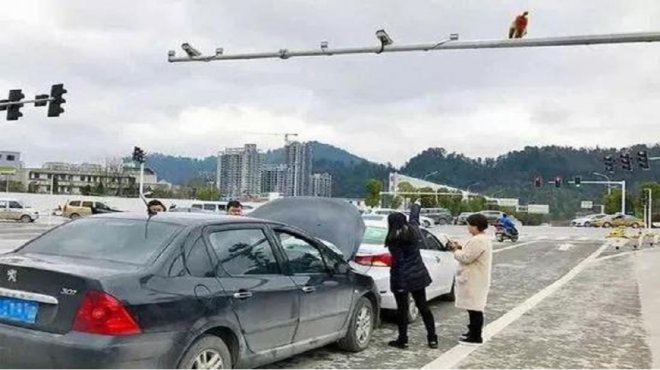 Китаянка влаштувала ДТП, переплутавши зад мавпи зі світлофором