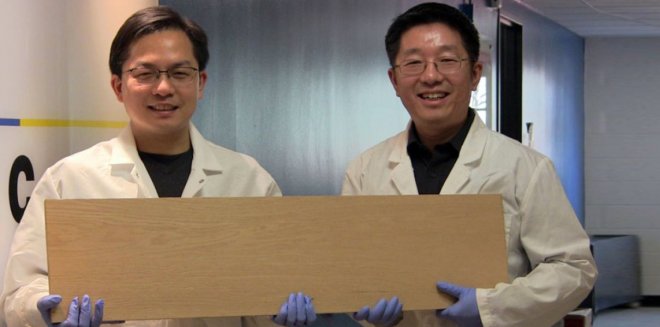 Вчені зробили деревину міцнішою за титан
