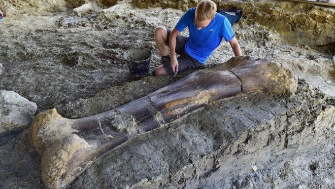 Знайдено останки найбільшої сухопутної тварини за всю історію планети
